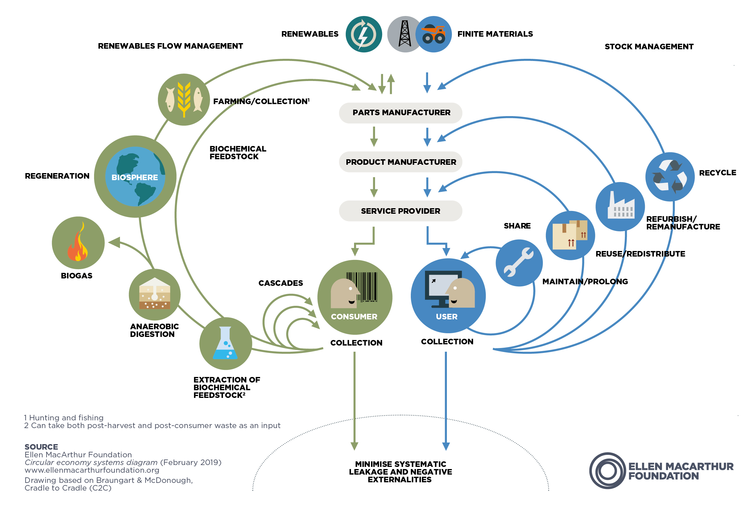 The Butterfly Diagram for Circular Economy by Ellen MacArthur Foundation